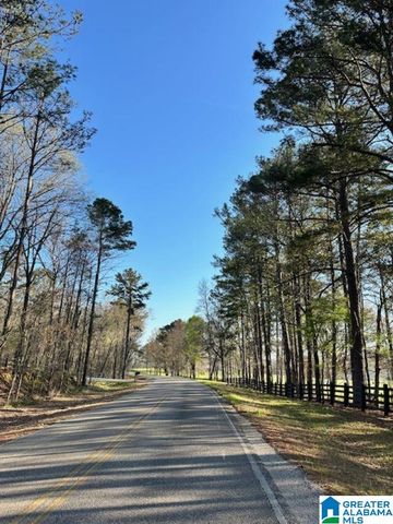 1129 HIGHWAY 467, Vincent, AL 35178