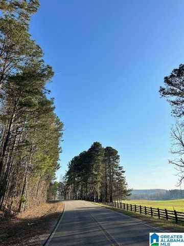 1129 HIGHWAY 467, Vincent, AL 35178