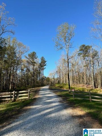 1129 HIGHWAY 467, Vincent, AL 35178