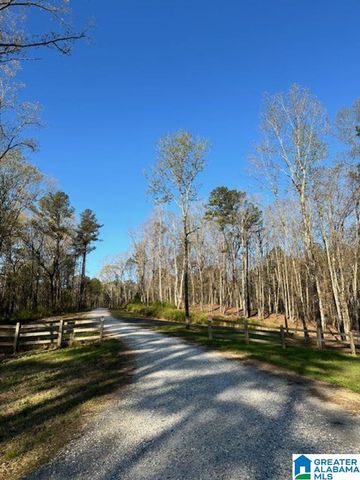 1129 HIGHWAY 467, Vincent, AL 35178