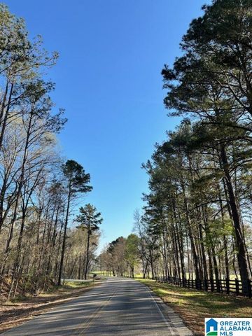 1129 HIGHWAY 467, Vincent, AL 35178