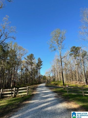 1129 HIGHWAY 467, Vincent, AL 35178