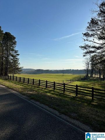 1129 HIGHWAY 467, Vincent, AL 35178