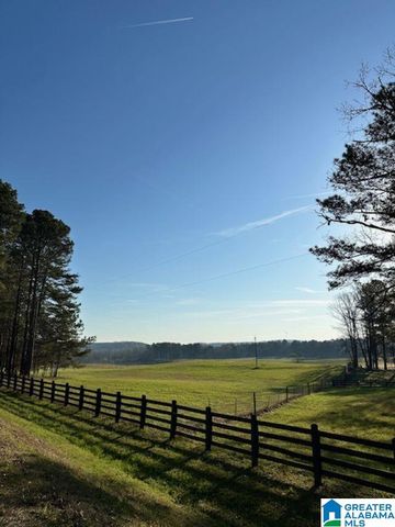 1129 HIGHWAY 467, Vincent, AL 35178