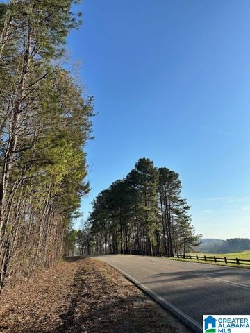 1129 HIGHWAY 467, Vincent, AL 35178