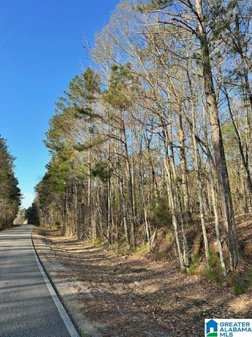 1129 HIGHWAY 467, Vincent, AL 35178