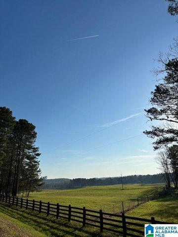 1129 HIGHWAY 467, Vincent, AL 35178