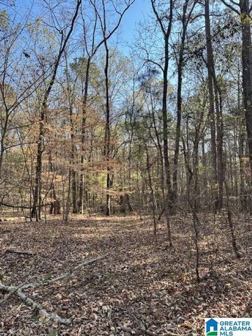 1129 HIGHWAY 467, Vincent, AL 35178