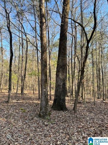 1129 HIGHWAY 467, Vincent, AL 35178