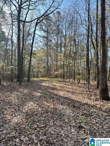 1129 HIGHWAY 467, Vincent, AL 35178