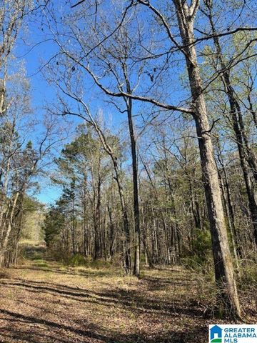 1129 HIGHWAY 467, Vincent, AL 35178