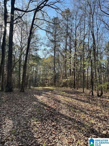 1129 HIGHWAY 467, Vincent, AL 35178