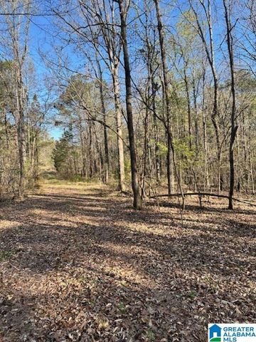 1129 HIGHWAY 467, Vincent, AL 35178