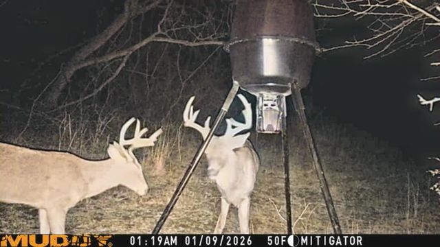 829 N Greenwich Rd, Belle Plaine, KS 67013