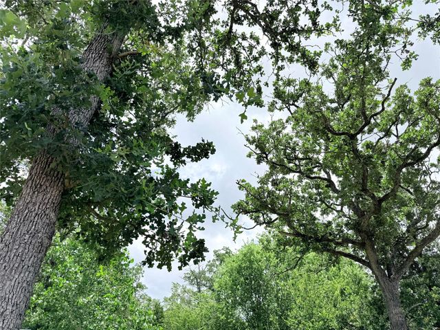 189 Indian Oak DR A, Bastrop, TX 78602