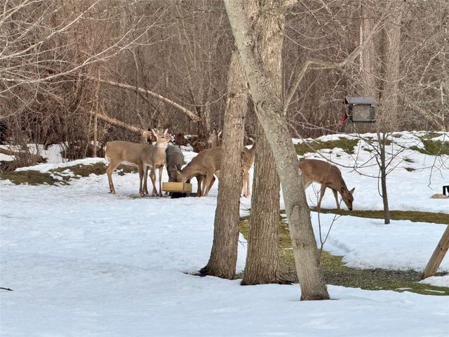 1155 VILLA SITES Avenue, Harborcreek, PA 16421