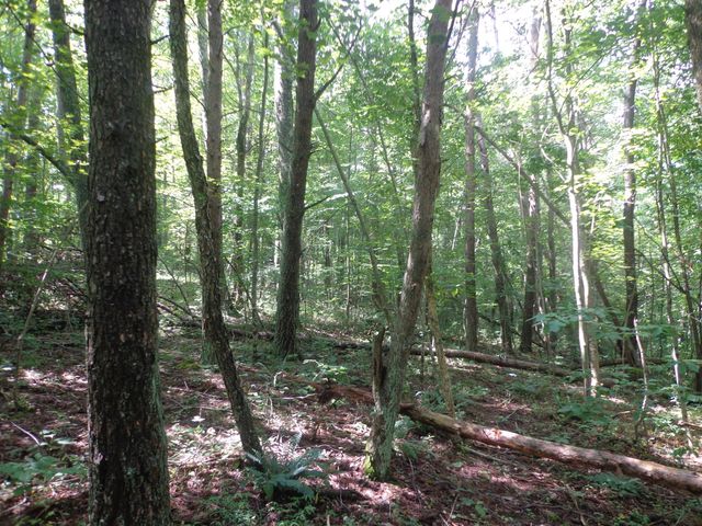 0 Sugar Grove Road SE, Sugar Grove, OH 43155