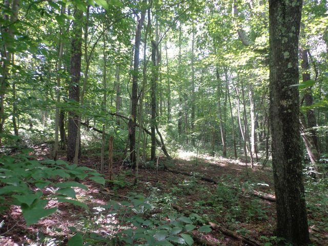 0 Sugar Grove Road SE, Sugar Grove, OH 43155