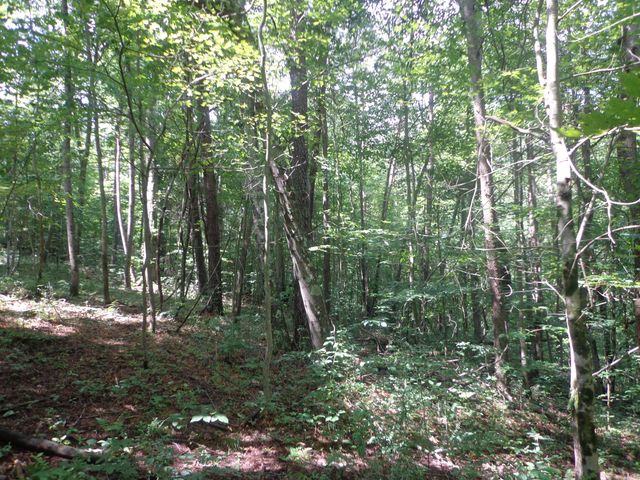 0 Sugar Grove Road SE, Sugar Grove, OH 43155