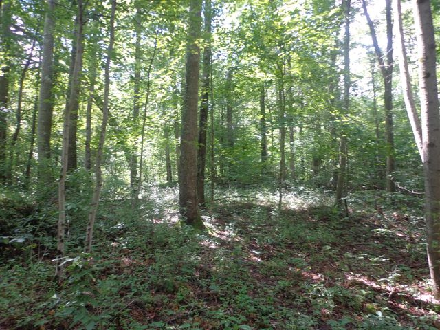 0 Sugar Grove Road SE, Sugar Grove, OH 43155