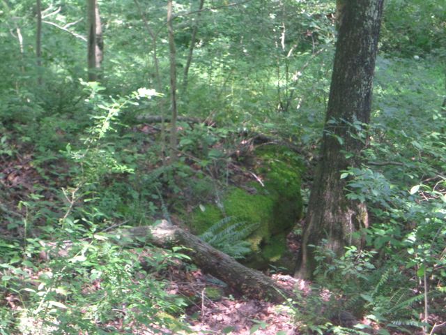 0 Sugar Grove Road SE, Sugar Grove, OH 43155