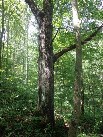 0 Sugar Grove Road SE, Sugar Grove, OH 43155