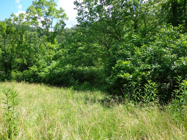0 Sugar Grove Road SE, Sugar Grove, OH 43155