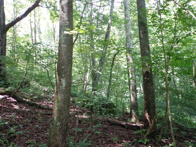 0 Sugar Grove Road SE, Sugar Grove, OH 43155