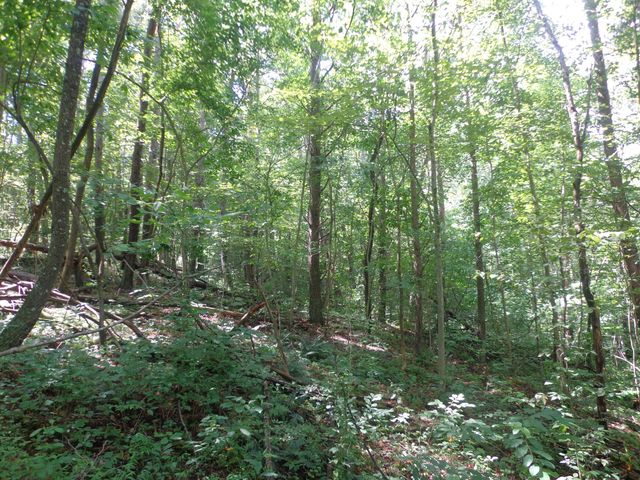 0 Sugar Grove Road SE, Sugar Grove, OH 43155