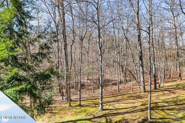 499 Hemlock Lane, Spencer, TN 38585