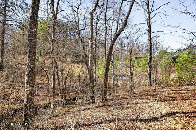 499 Hemlock Lane, Spencer, TN 38585