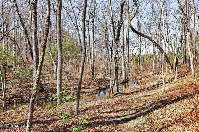 499 Hemlock Lane, Spencer, TN 38585