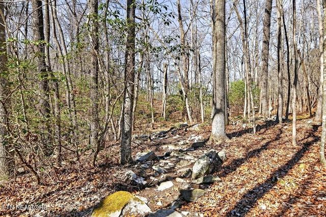 499 Hemlock Lane, Spencer, TN 38585