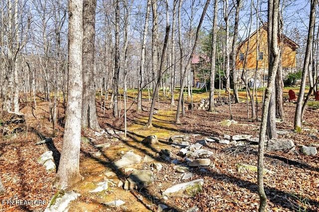 499 Hemlock Lane, Spencer, TN 38585