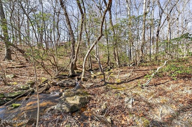 499 Hemlock Lane, Spencer, TN 38585