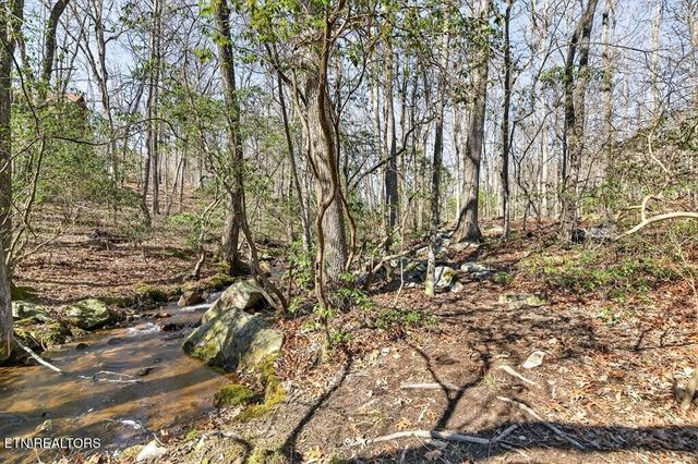 499 Hemlock Lane, Spencer, TN 38585