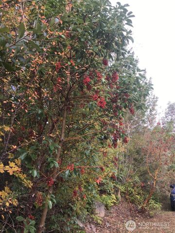 11939 New Morning Drive, Anacortes, WA 98221