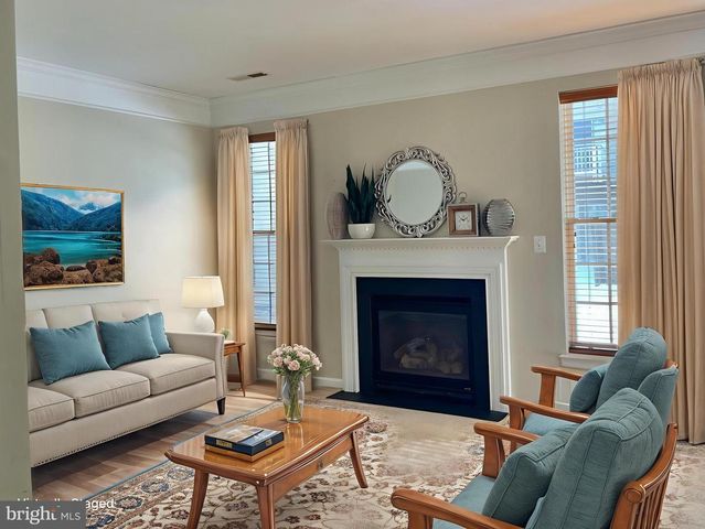 12313 TANALIAN FALLS LN, Bristow, VA 20136