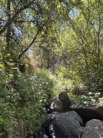 9153 Manzanita Ln, Oregon House, CA 95962