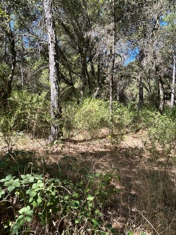 9153 Manzanita Ln, Oregon House, CA 95962