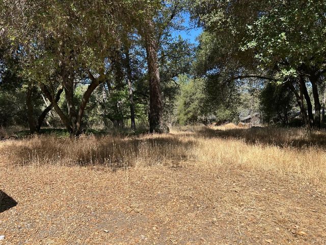 9153 Manzanita Ln, Oregon House, CA 95962