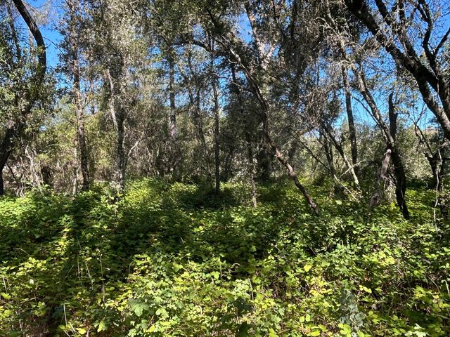 9153 Manzanita Ln, Oregon House, CA 95962