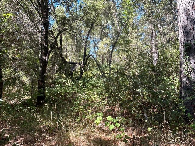 9153 Manzanita Ln, Oregon House, CA 95962