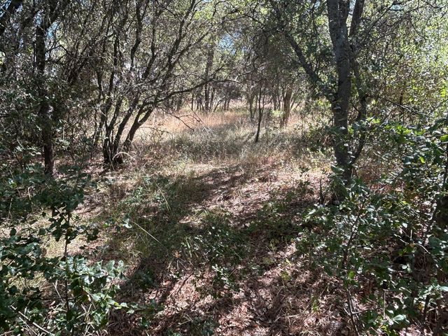 9153 Manzanita Ln, Oregon House, CA 95962