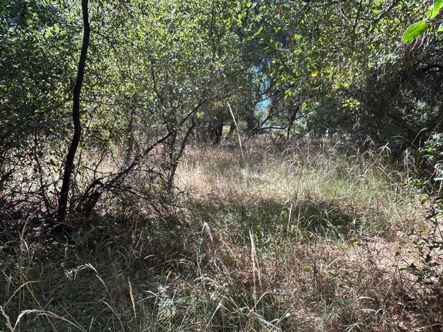 9153 Manzanita Ln, Oregon House, CA 95962