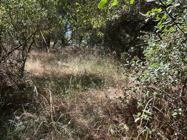 9153 Manzanita Ln, Oregon House, CA 95962