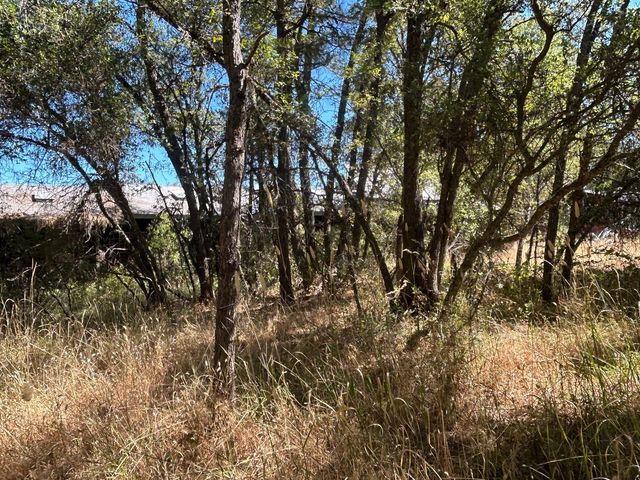 9153 Manzanita Ln, Oregon House, CA 95962