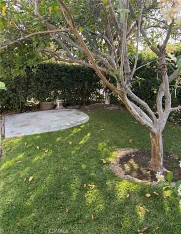 10322 Rincon Avenue, Pacoima, CA 91331