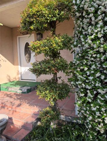 10322 Rincon Avenue, Pacoima, CA 91331