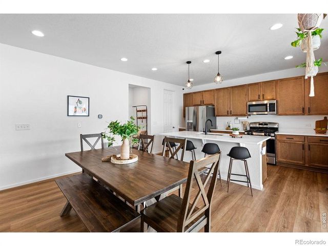 1228 Argali Drive, Severance, CO 80550